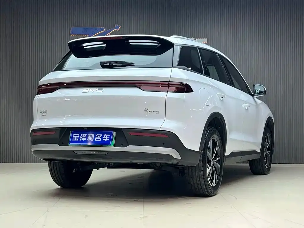 BYD Pro New Energy — фото 8