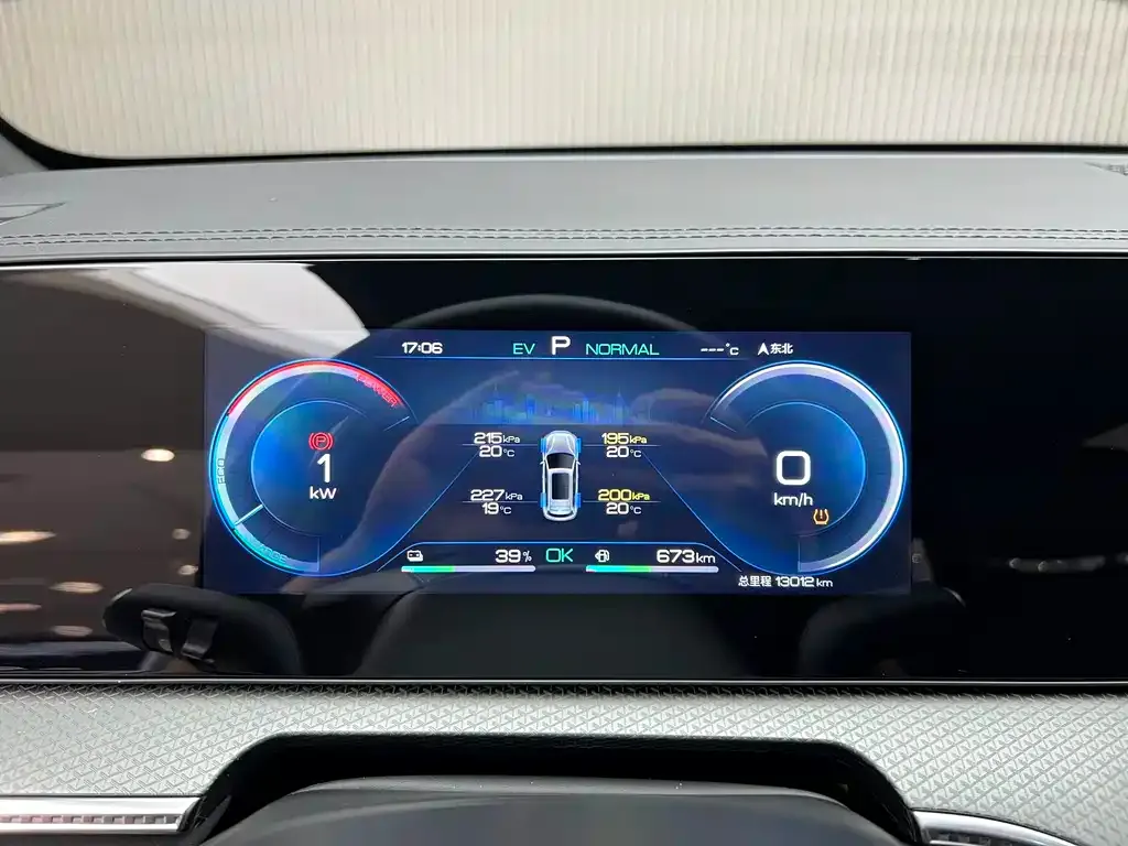 BYD Pro New Energy — фото 4