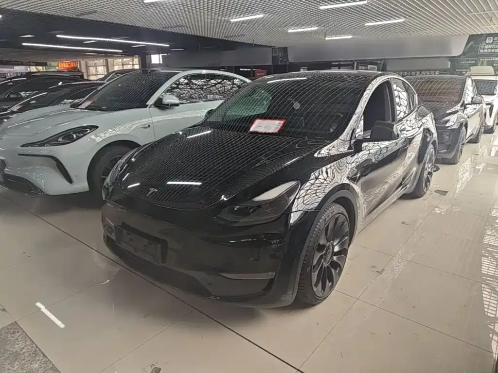 Tesla Model Y — фото 1