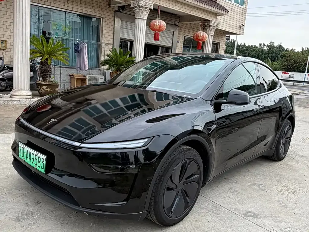 Tesla Model Y — фото 6