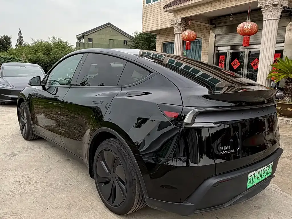 Tesla Model Y — фото 10