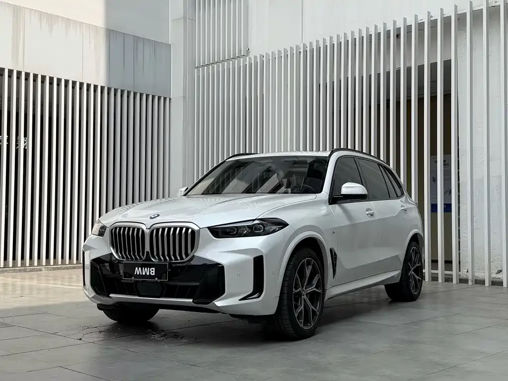 BMW X5 — фото 1