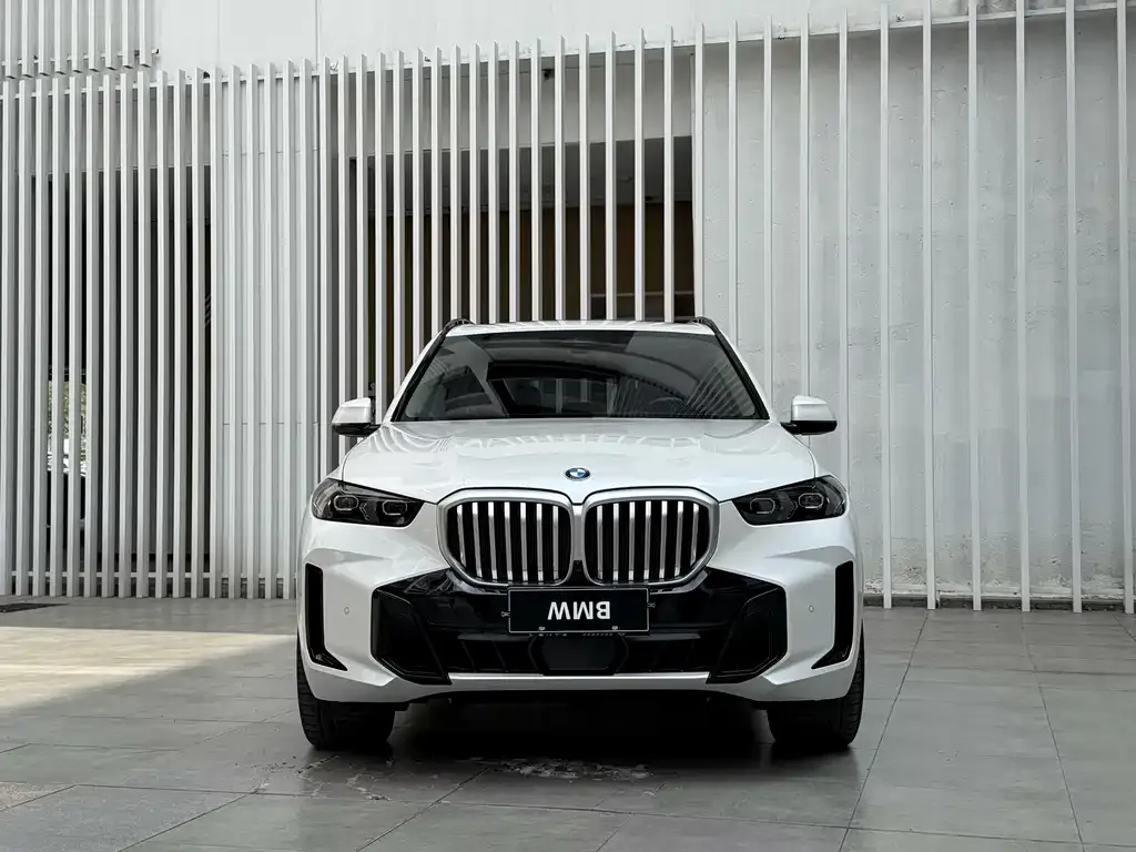 BMW X5 — фото 7
