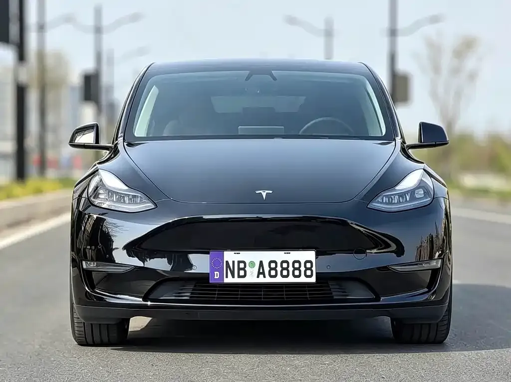 Tesla Model Y — фото 2