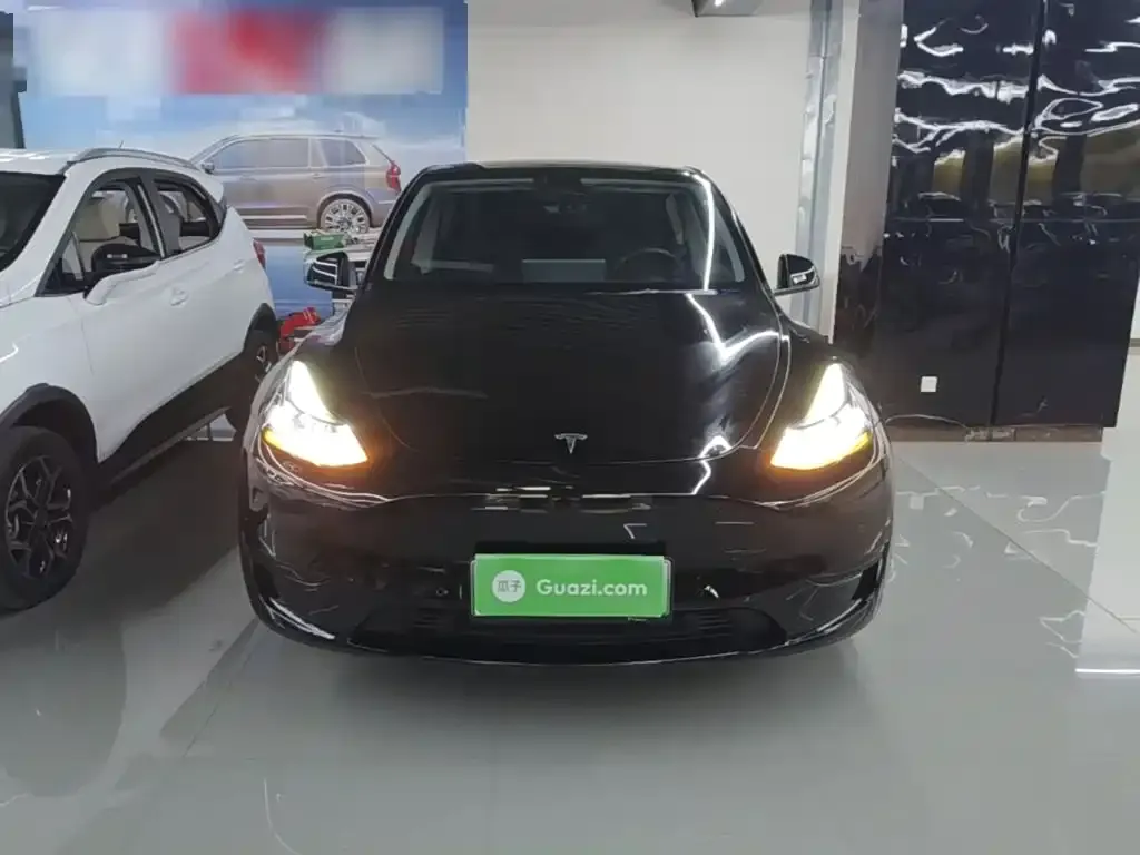 Tesla Model Y — фото 2