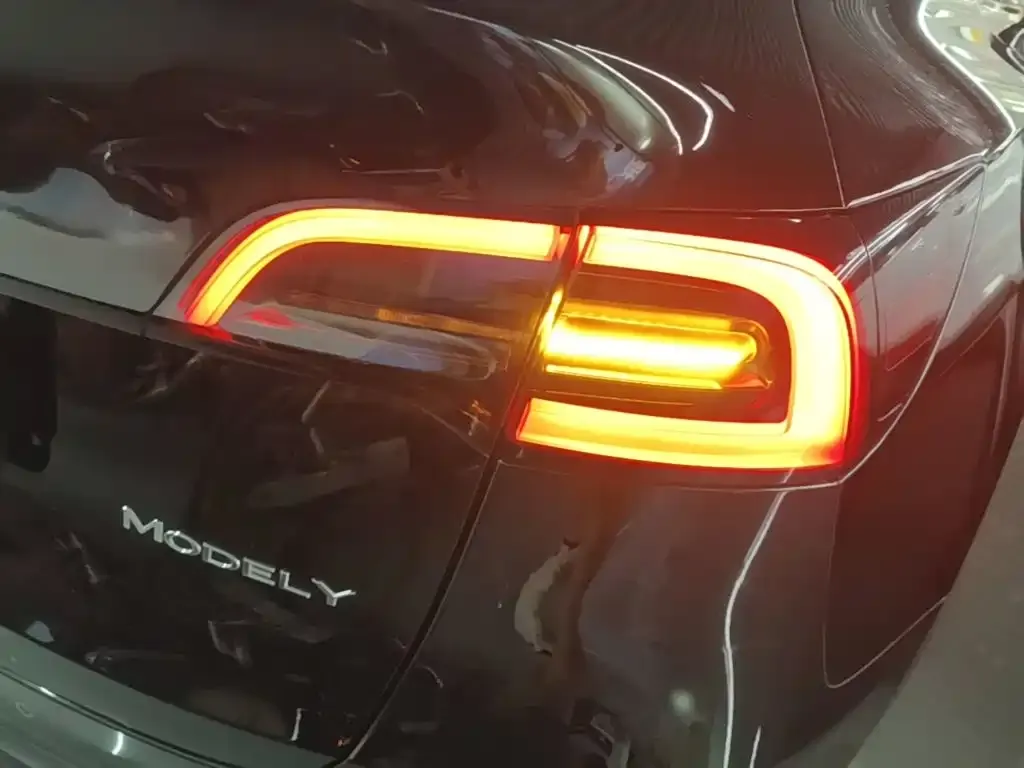 Tesla Model Y — фото 10