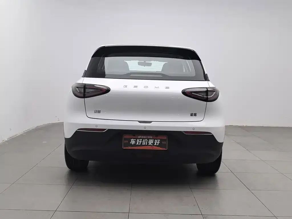 Geely Starburst — фото 9