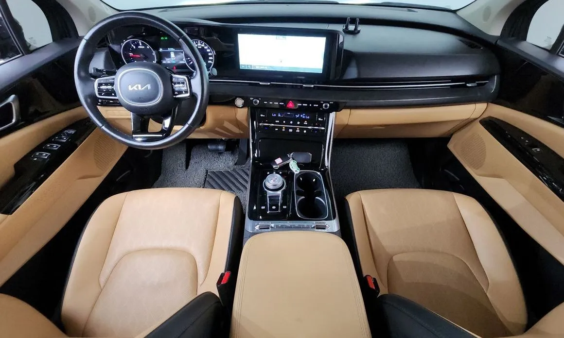 Kia Carnival — фото 10