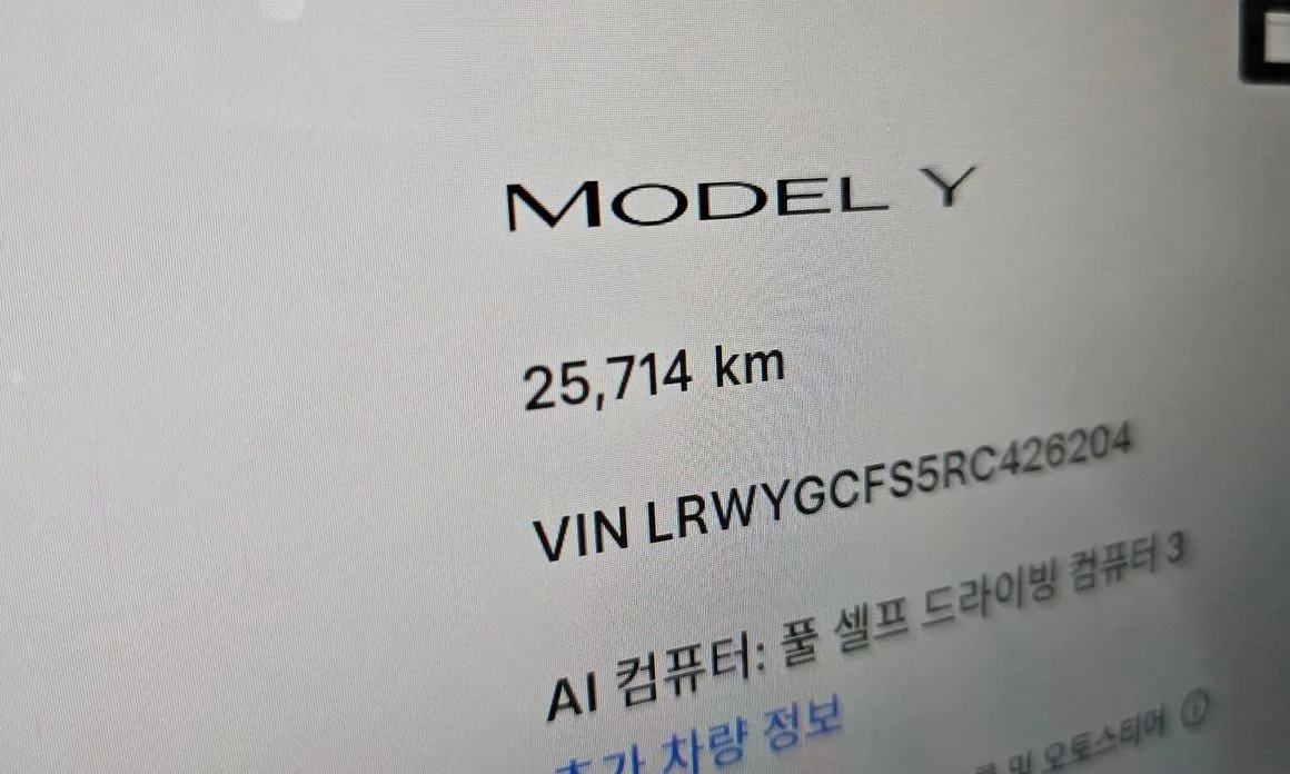 Tesla Model Y — фото 7