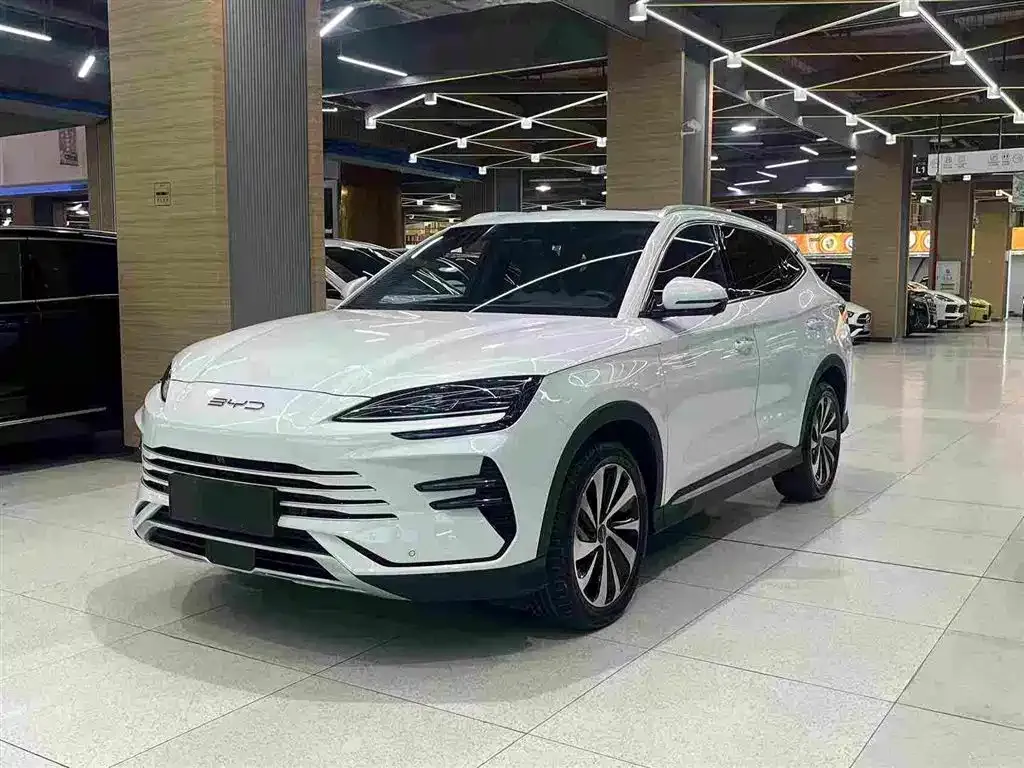 BYD PLUS New Energy — фото 1