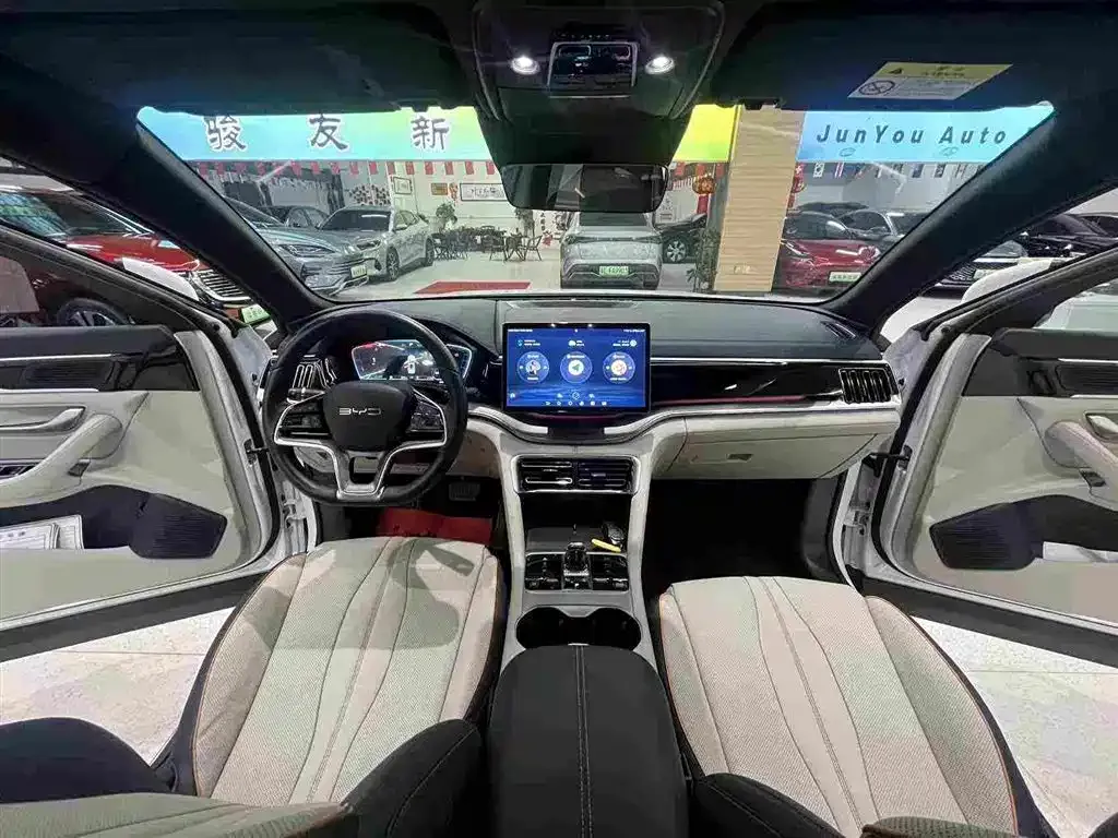 BYD PLUS New Energy — фото 5