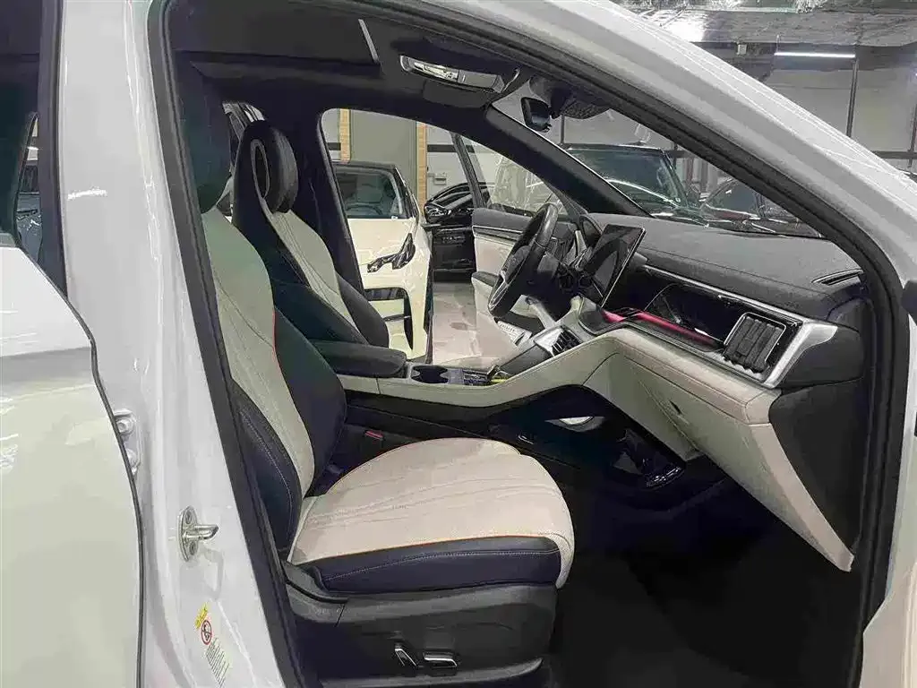 BYD PLUS New Energy — фото 6