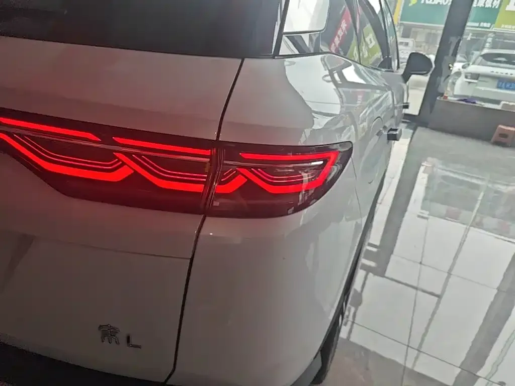 BYD L DM-i — фото 6