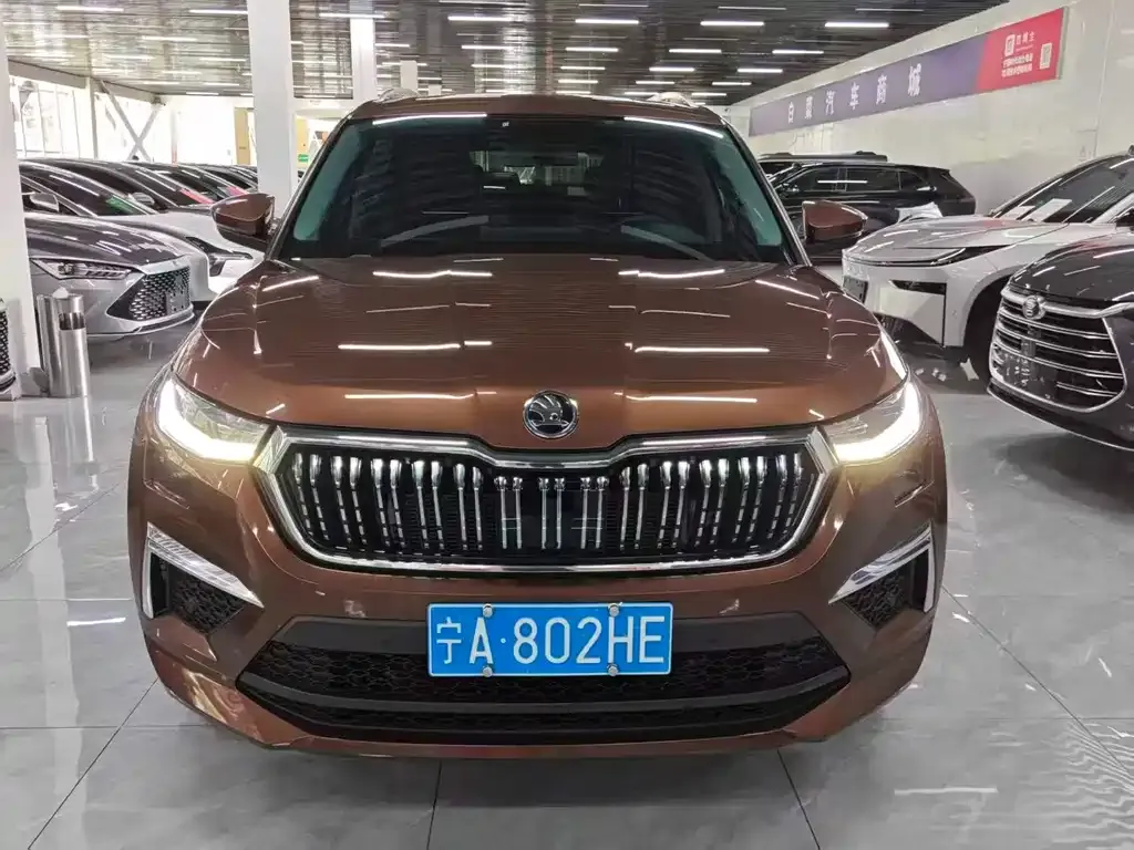 Skoda Kodiaq — фото 3
