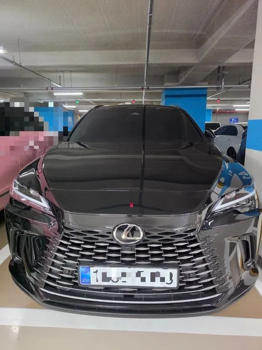 Lexus RX — фото 1