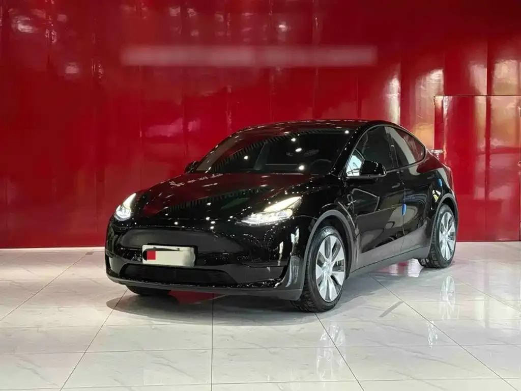 Tesla Model Y — фото 2