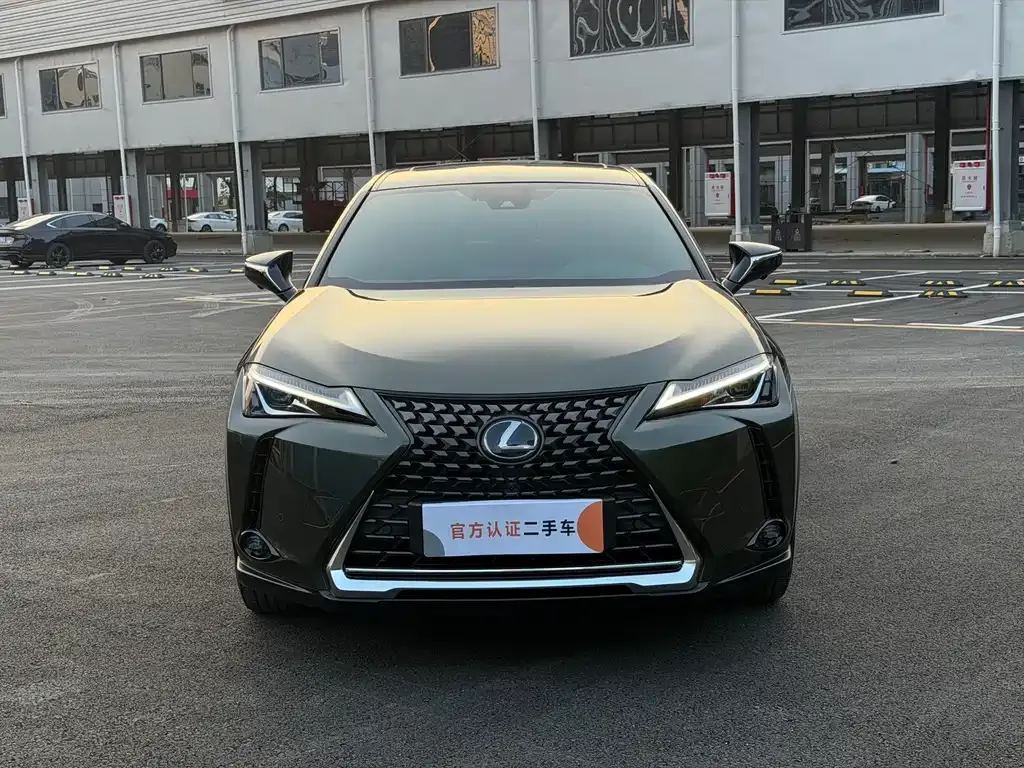 Lexus UX New Energy — фото 6
