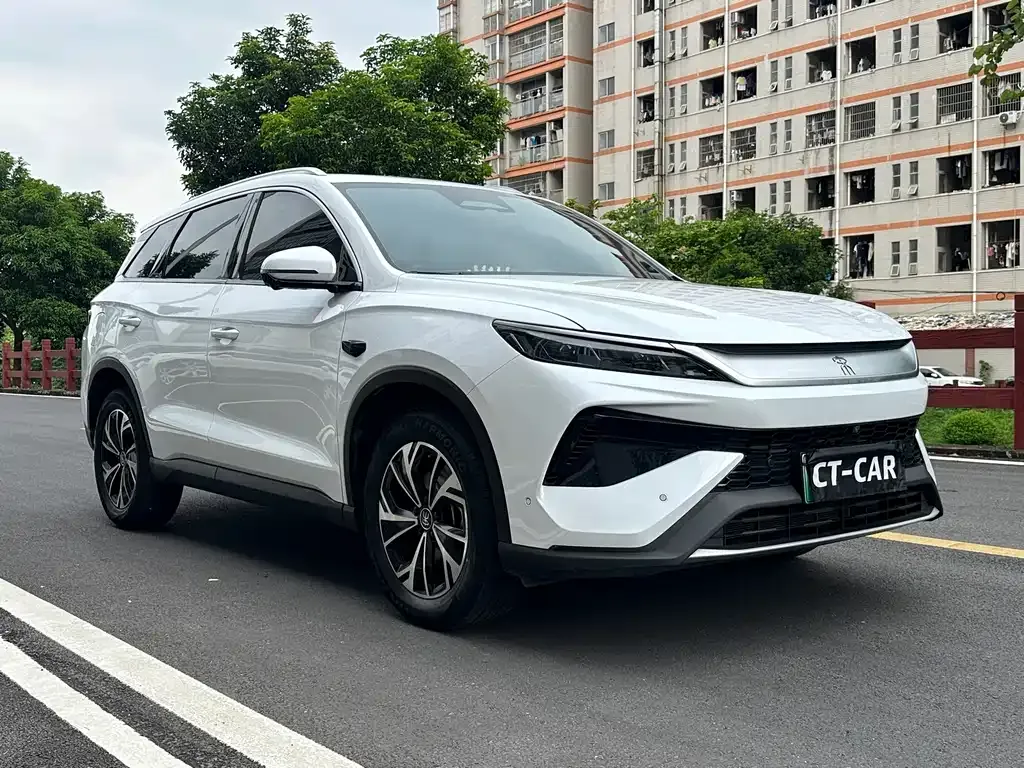 BYD Pro New Energy — фото 4