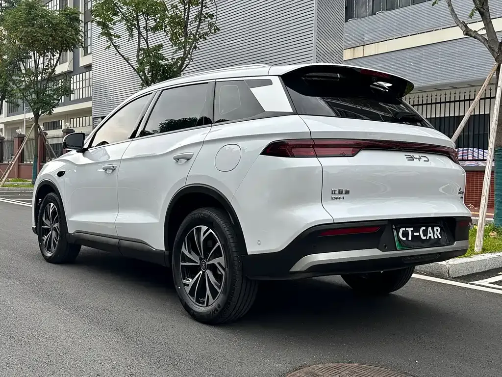 BYD Pro New Energy — фото 10