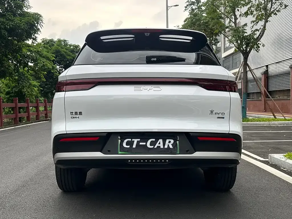 BYD Pro New Energy — фото 5