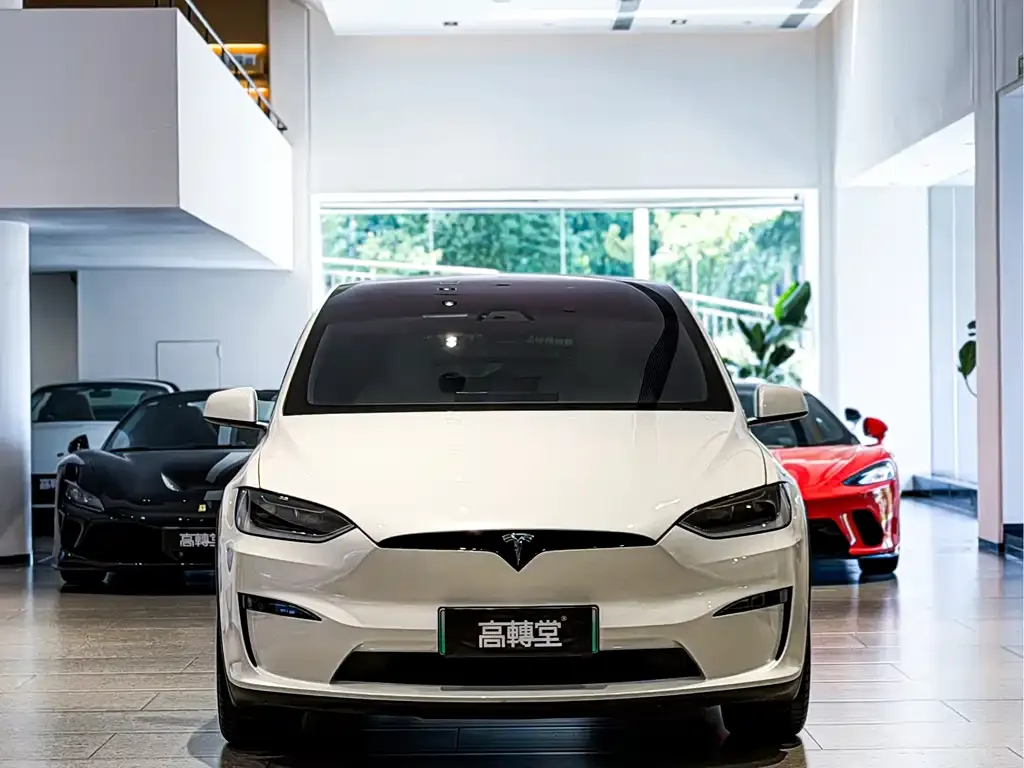 Tesla Model X — фото 10