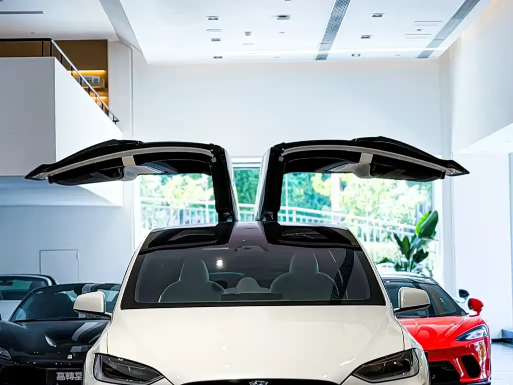 Tesla Model X — фото 6