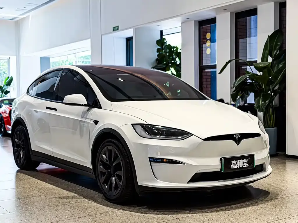 Tesla Model X — фото 7
