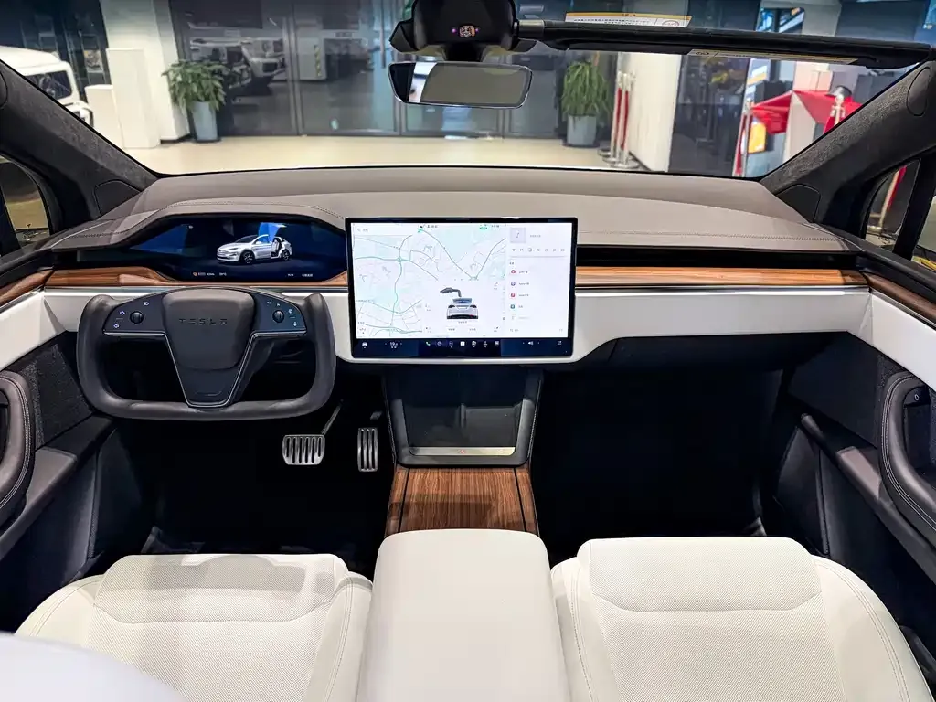 Tesla Model X — фото 8