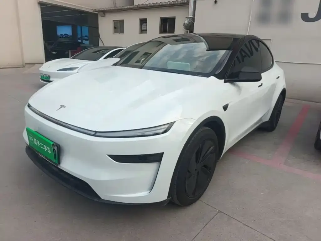 Tesla Model Y — фото 1
