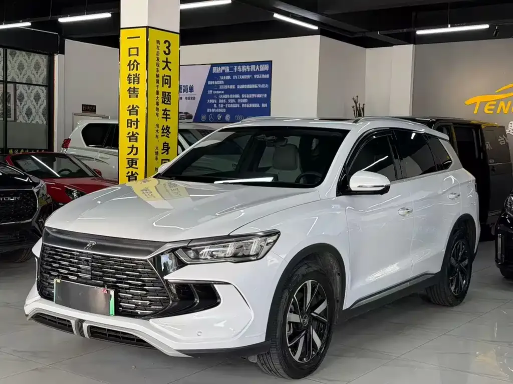 BYD Pro New Energy — фото 1