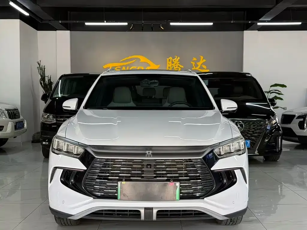 BYD Pro New Energy — фото 7