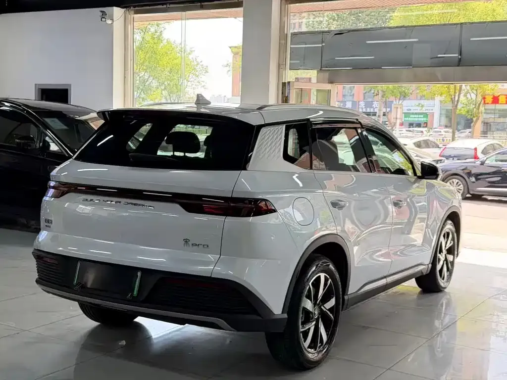 BYD Pro New Energy — фото 3