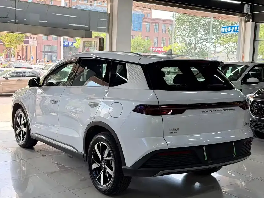 BYD Pro New Energy — фото 8