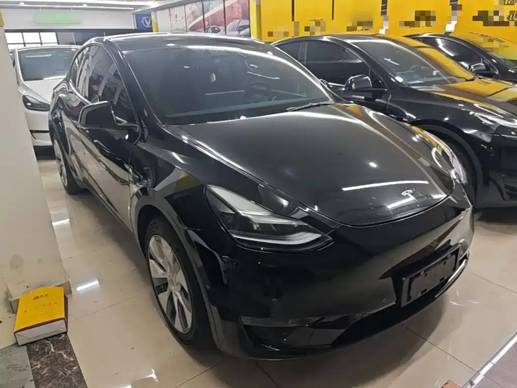 Tesla Model Y — фото 10