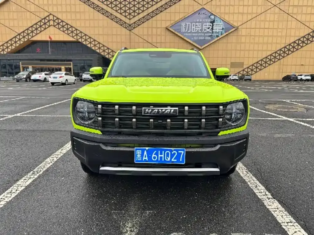 Haval Cool Dog — фото 9