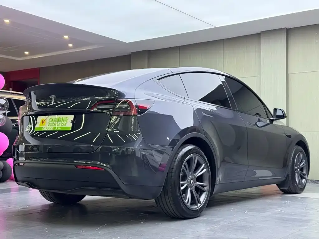 Tesla Model Y — фото 10