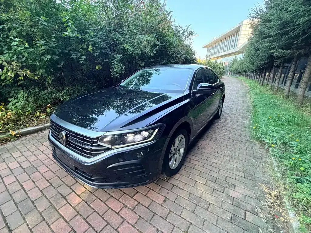 Volkswagen Passat — фото 1