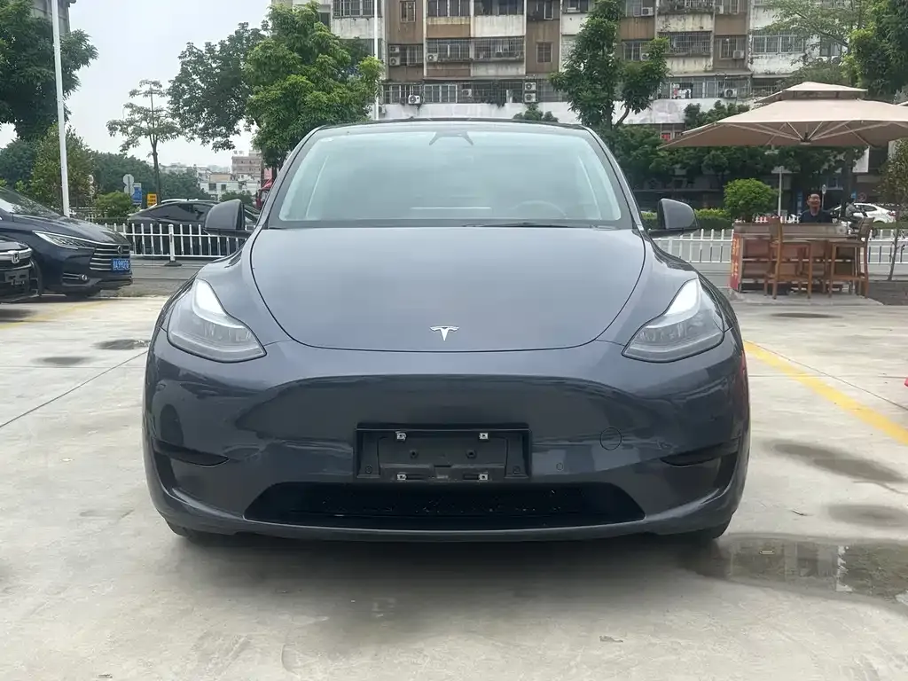 Tesla Model Y — фото 1
