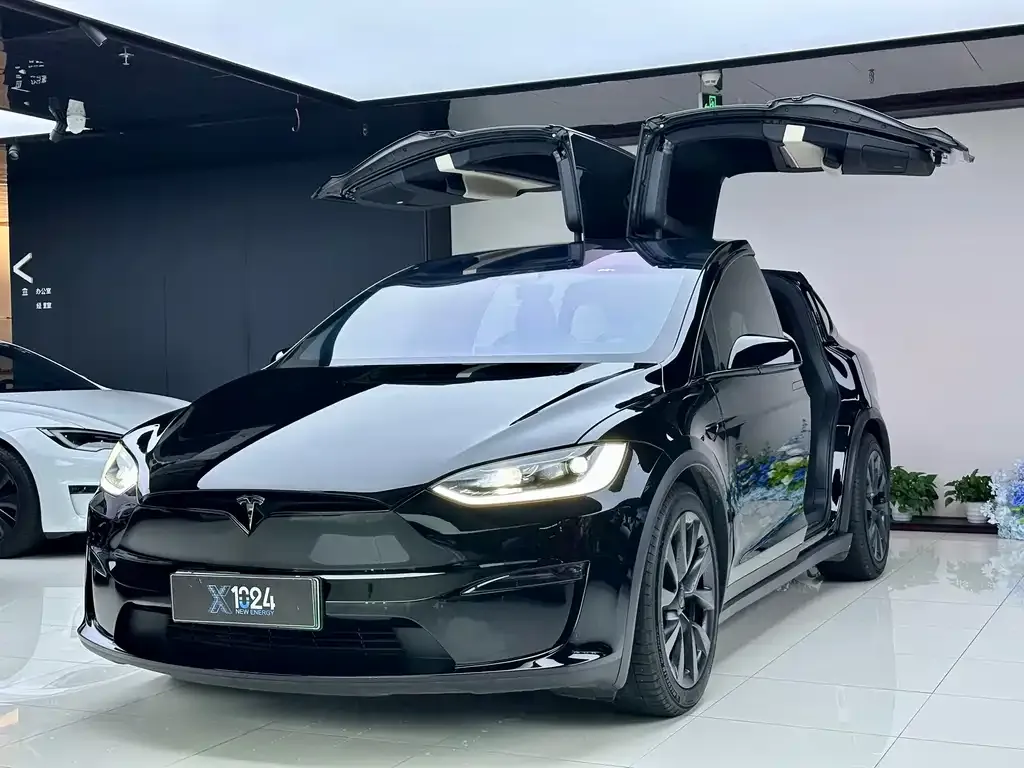 Tesla Model X — фото 1