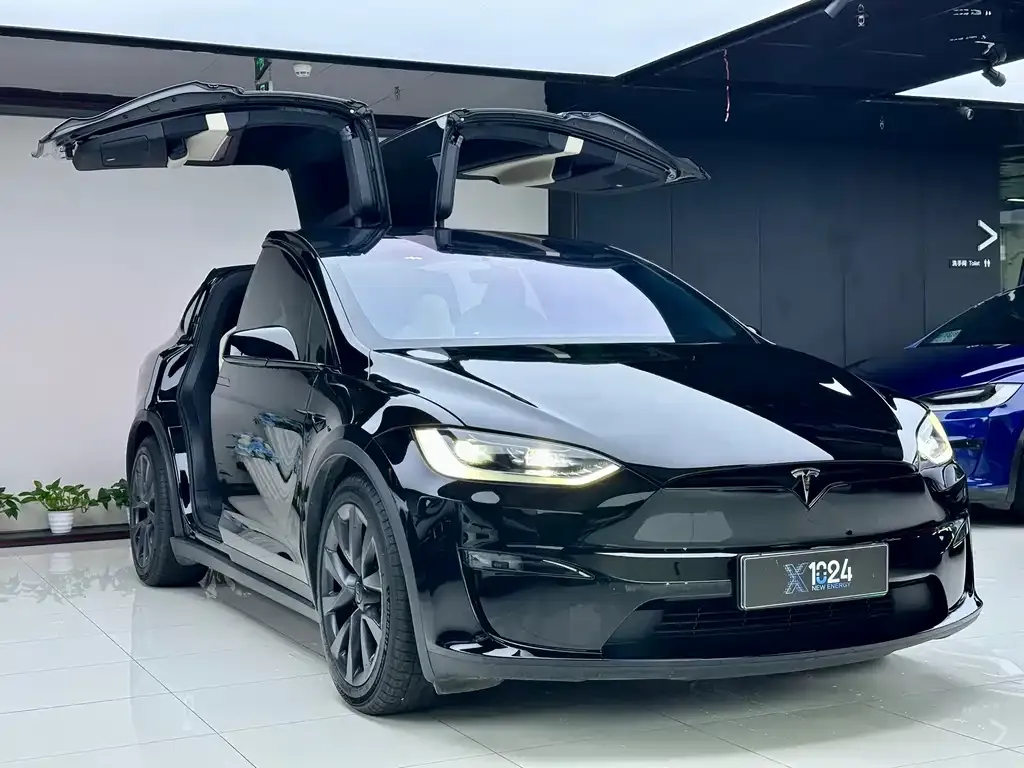 Tesla Model X — фото 10