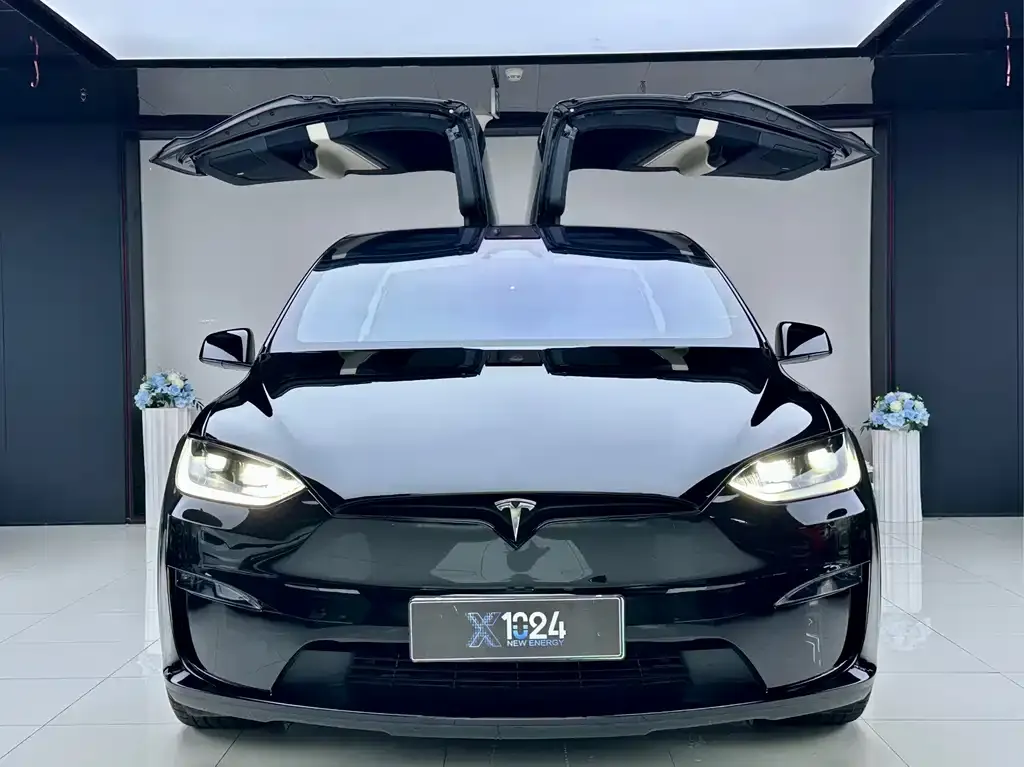 Tesla Model X — фото 4