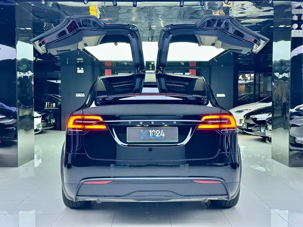 Tesla Model X — фото 5