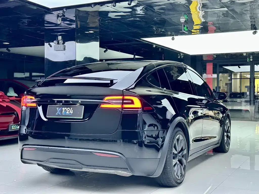 Tesla Model X — фото 9