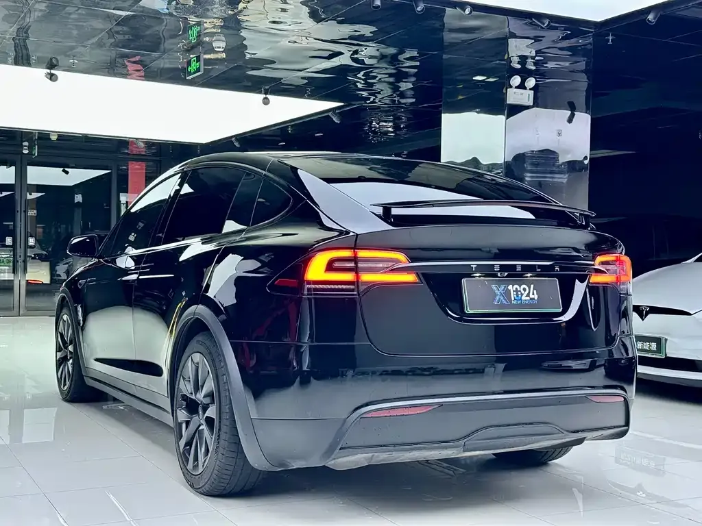 Tesla Model X — фото 2