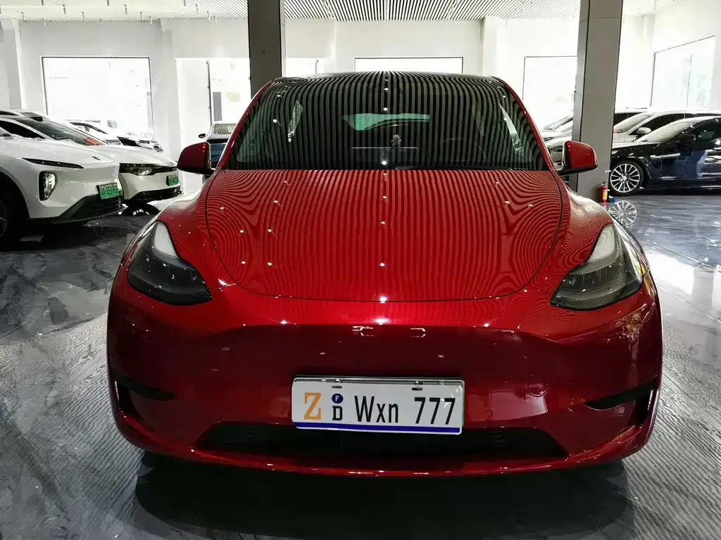 Tesla Model Y — фото 5