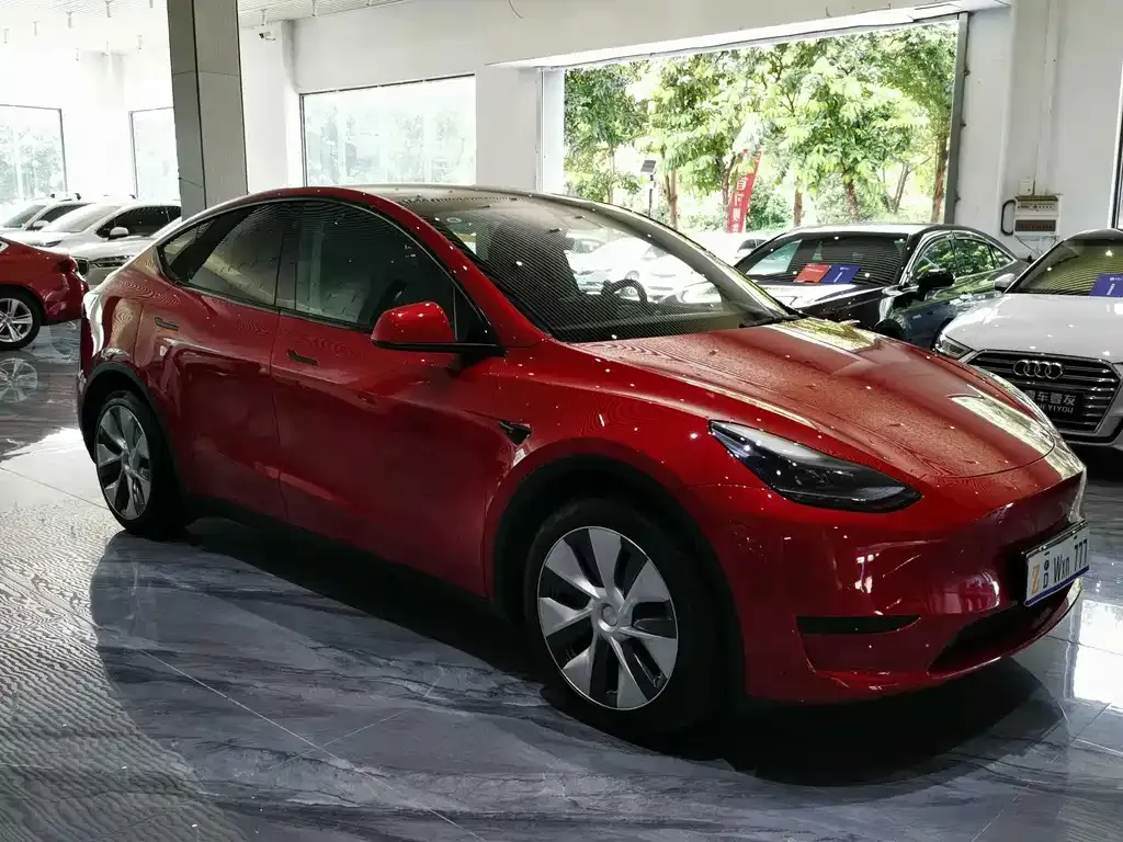 Tesla Model Y — фото 10