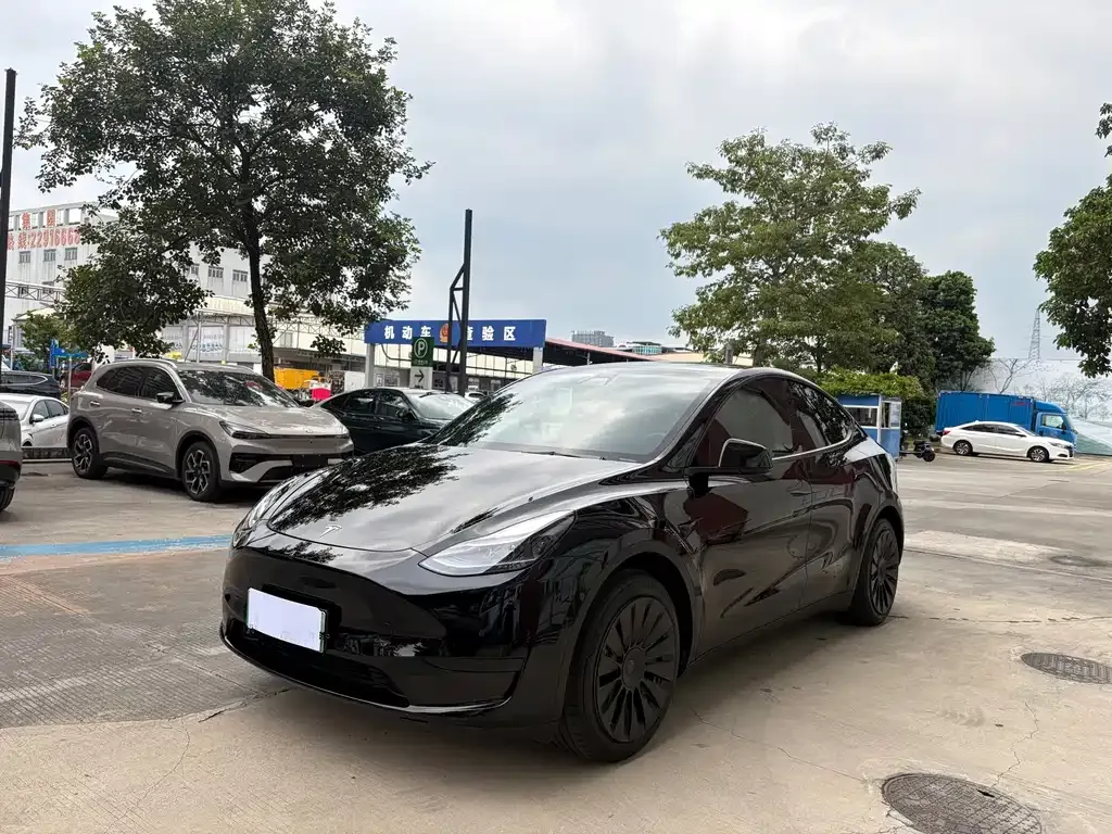 Tesla Model Y — фото 1