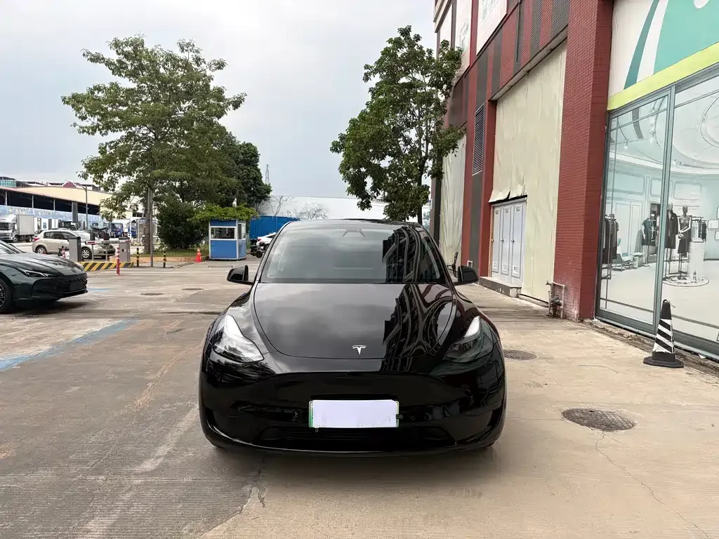 Tesla Model Y — фото 4