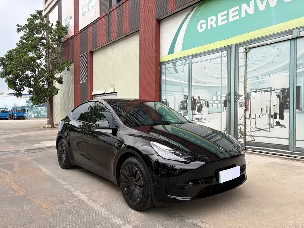 Tesla Model Y — фото 10