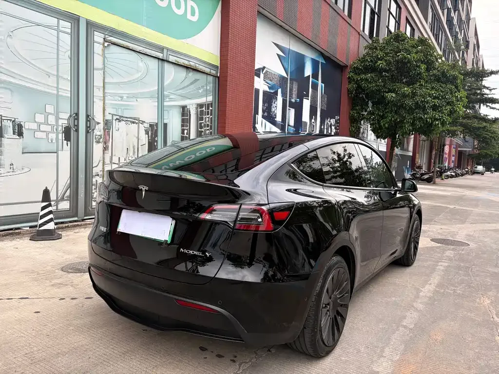 Tesla Model Y — фото 5
